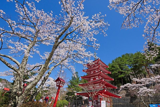 Cherry Blossom ! Five-Story Pagoda,Mt. Fuji 5th Station,Panoramic Ropeway - Additional Information