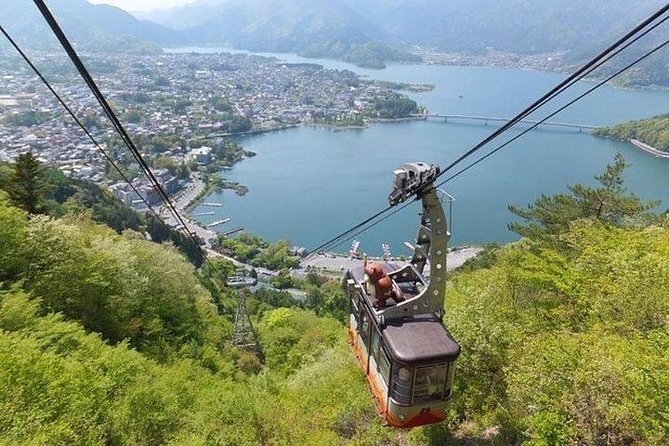 Cherry Blossom ! Five-Story Pagoda,Mt. Fuji 5th Station,Panoramic Ropeway - Reviews