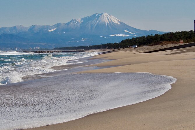 Sakaiminato and Yonago Half-Day Private Guided Tour (Mar ) - Final Words