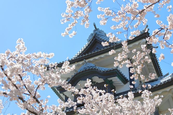 4 Hour Unique Kanazawa Cherry Blossom Sakura Private Experience - Just The Basics