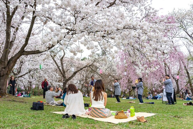 4 Hour Unique Kanazawa Cherry Blossom Sakura Private Experience - Booking Information