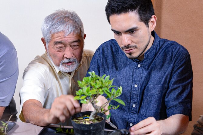 3Days-Bonsai & Sencha Tea Experience: Pastime of the Literati - Just The Basics