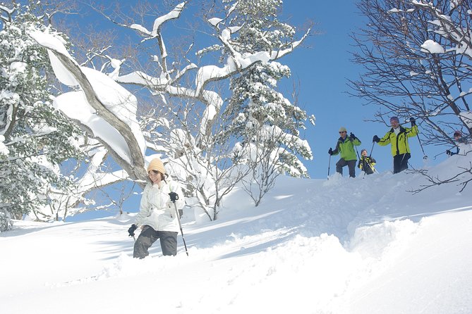 Fluffy New Snow and the Earth Beating, Goshougake Oyunuma Snowshoeing Tour - Meeting and Pickup Details