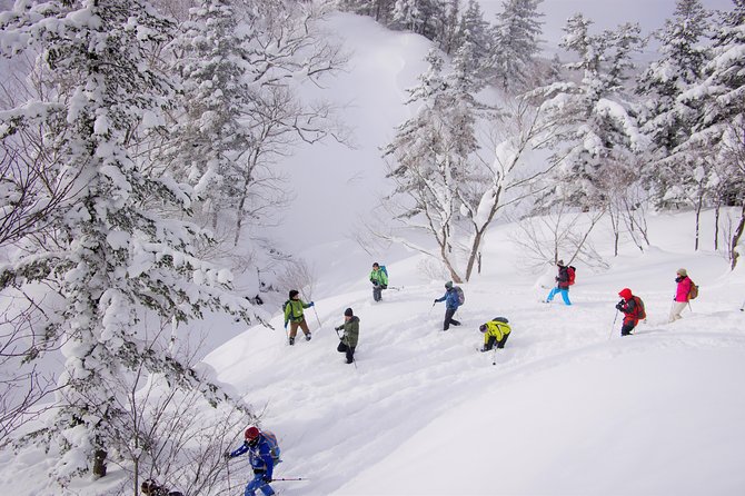 Fluffy New Snow and the Earth Beating, Goshougake Oyunuma Snowshoeing Tour - Frequently Asked Questions
