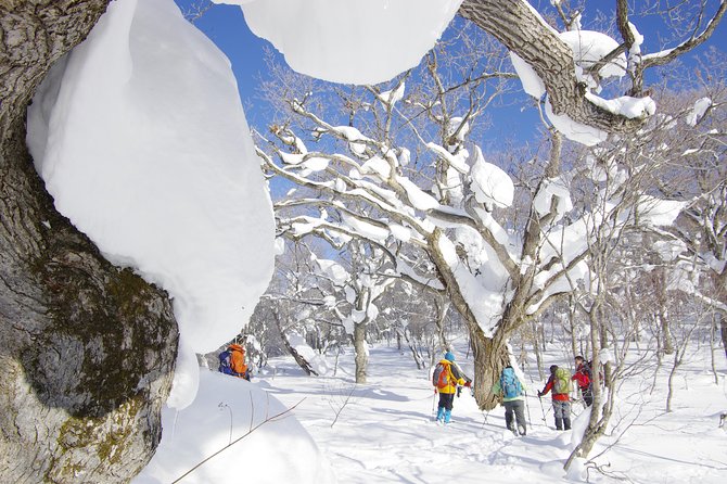 Fluffy New Snow and the Earth Beating, Goshougake Oyunuma Snowshoeing Tour - Cancellation Policy