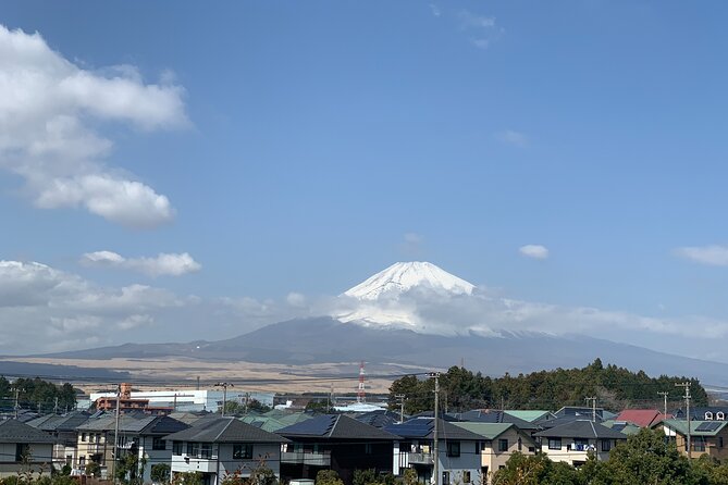 Zen Experience and Walking Tour to Gotemba Local Hidden Gems - Just The Basics