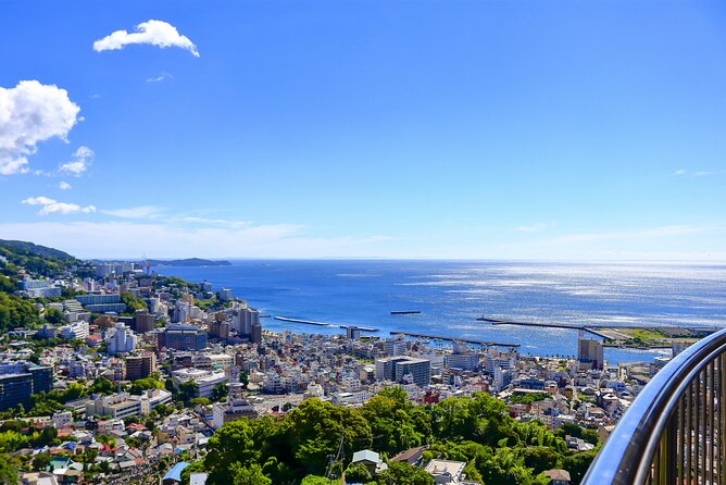 Atami Full-Day Private Tour With Government-Licensed Guide - Weather & Refunds