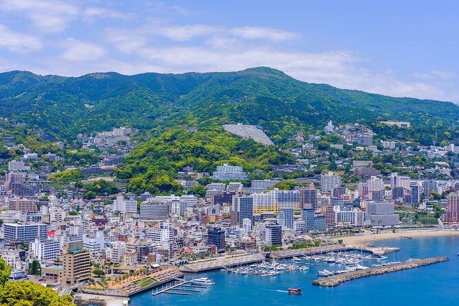 Atami Full-Day Private Tour With Government-Licensed Guide - Questions & Support