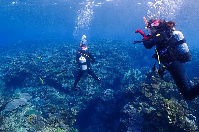 2-Day Private Deluxe Certification Course for Scuba Diving - Booking Details