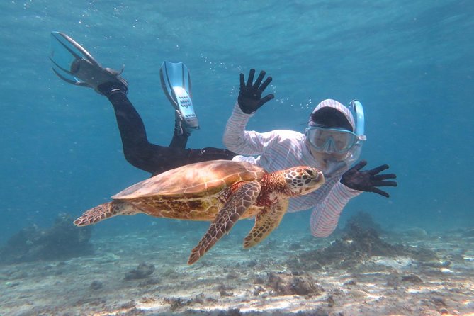 [Miyakojima Snorkel] Private Tour From 2 People Lets Look for Sea Turtles! Snorkel Tour That Can Be - Just The Basics