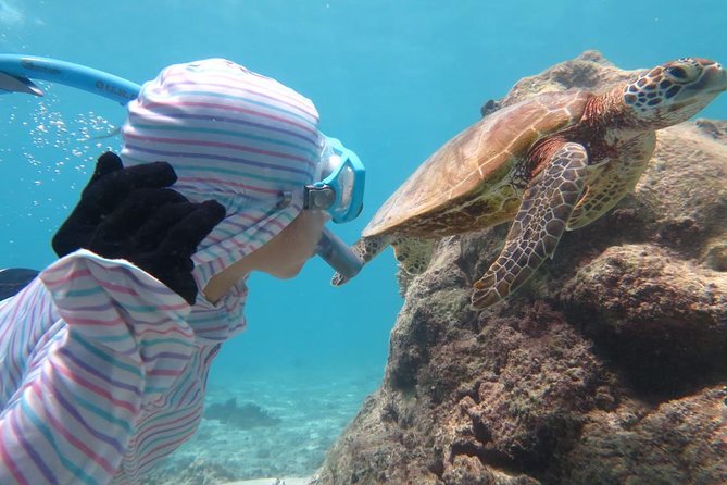 [Miyakojima Snorkel] Private Tour From 2 People Lets Look for Sea Turtles! Snorkel Tour That Can Be - Frequently Asked Questions