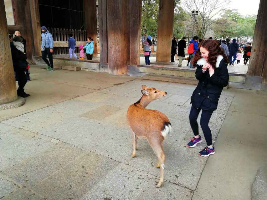 Nara: Nara Park Private Family Bike Tour With Lunch - Tour Description