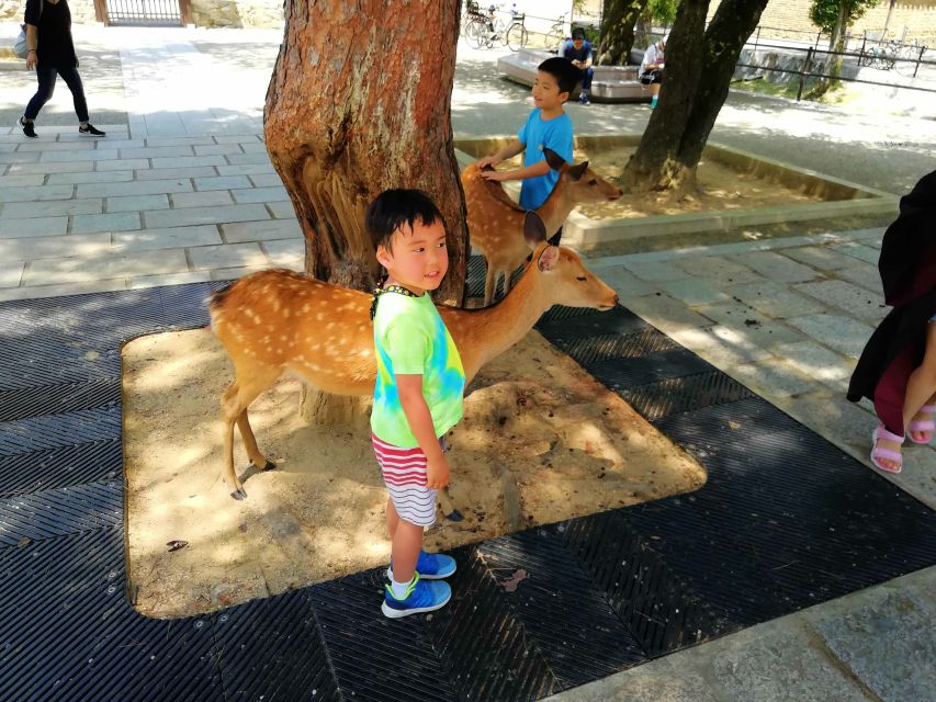 Nara: Nara Park Private Family Bike Tour With Lunch - Safety Briefing