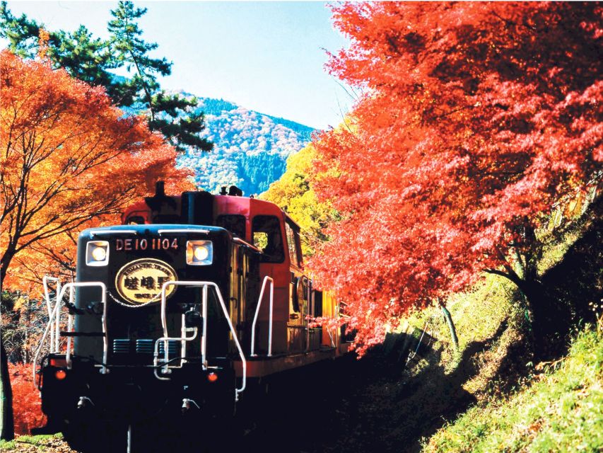 From Kyoto: Sagano Train Ride and Guided Kyoto Day Tour - Just The Basics