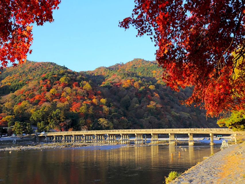 From Kyoto: Sagano Train Ride and Guided Kyoto Day Tour - Important Reminders for Participants