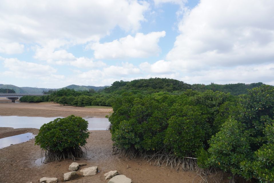 Okinawa: Full-Day Bus Tour to Yanbaru National Park - Review Summary