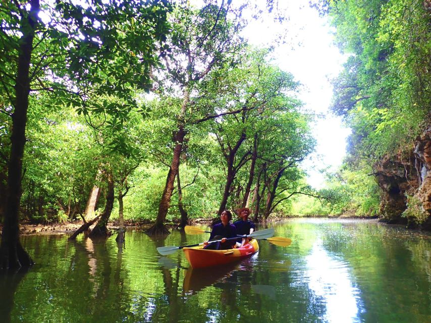 Ishigaki Island: 2-Hour Miyara River Kayaking Tour - Location Information