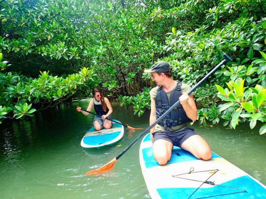 Ishigaki Island: 2-Hour Miyara River Kayaking Tour - Customer Experience