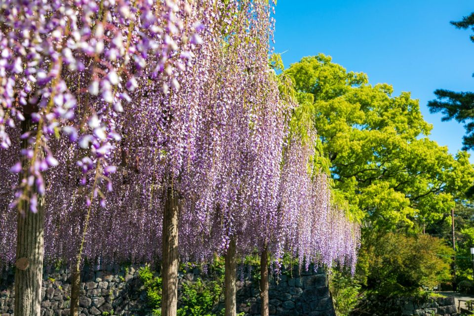 Odawara: Odawara Castle Tenshukaku Entrance Ticket - Ticket Validity and Inclusions