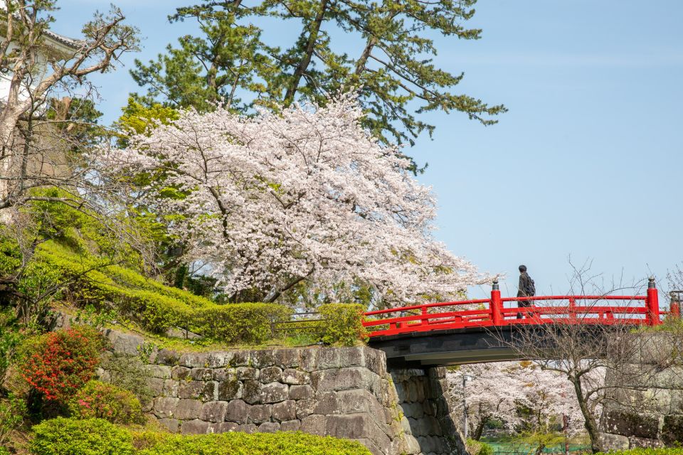 Odawara: Odawara Castle Tenshukaku Entrance Ticket - Host, Experience, and Highlights