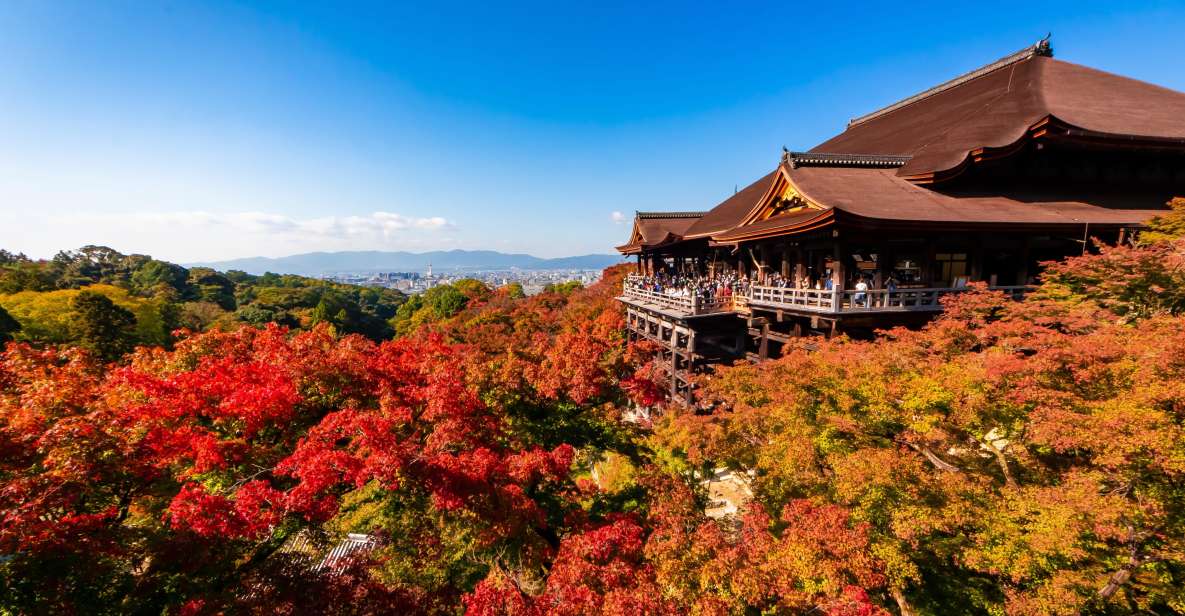 Kiyomizu Temple and Backstreet of Gion Half Day Private Tour - Activity Inclusions