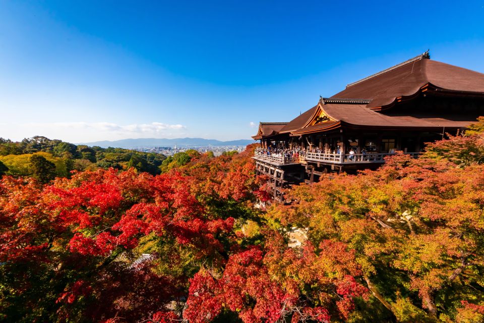 Kiyomizu Temple and Backstreet of Gion Half Day Private Tour - About the Tour