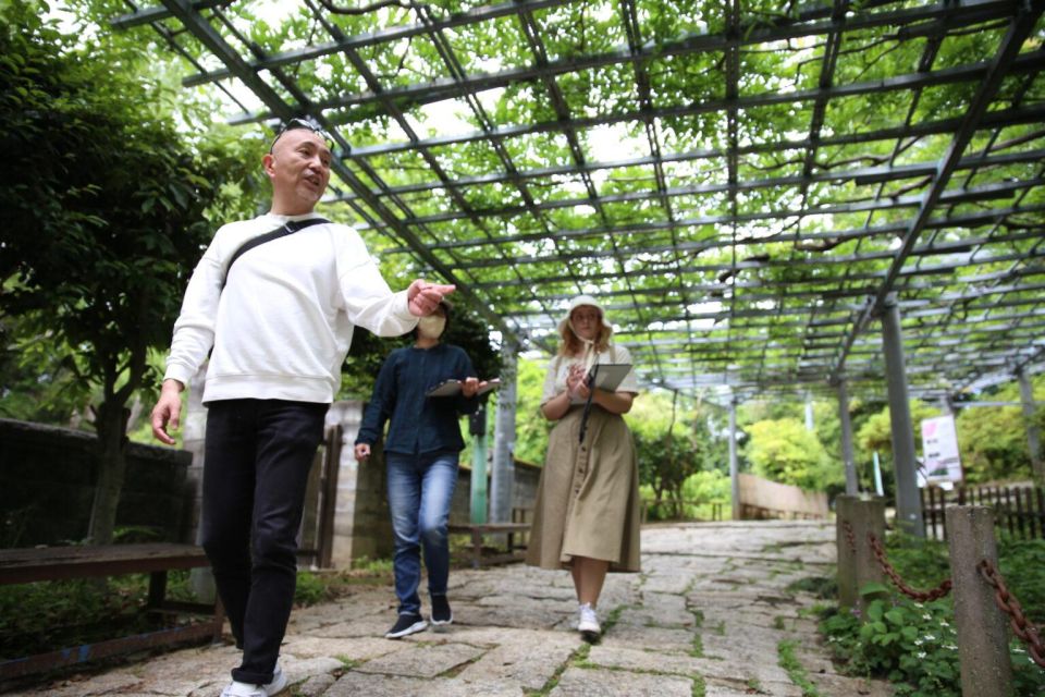 Half-Day Shared Tour at Kurashiki With Local Guide - Experience