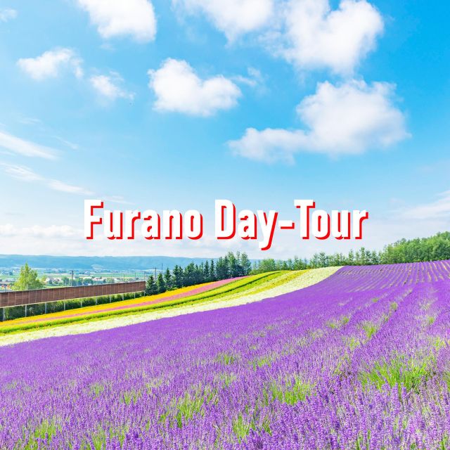 From Sapporo: 10-hour Customized Private Tour to Furano - Visit Ningle Terrace