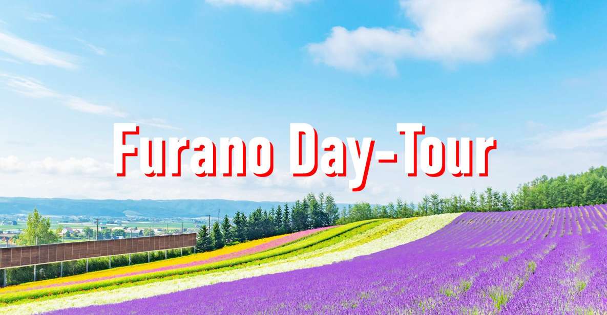 From Sapporo: 10-hour Customized Private Tour to Furano - Winter Landscape Immersion