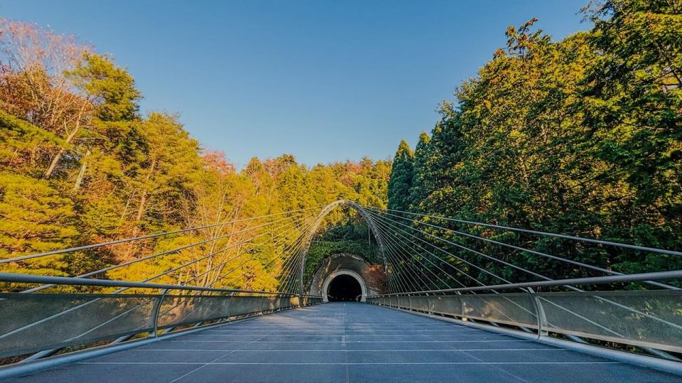 Shiga: Miho Museum, Lake Biwa & Waterbird Shrine Day Trip - Customer Reviews Summary