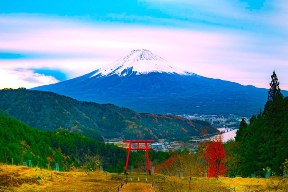 From Tokyo: Private Mount Fuji and Hakone Full-Day Trip - Tour Itinerary Options - Hakone Area