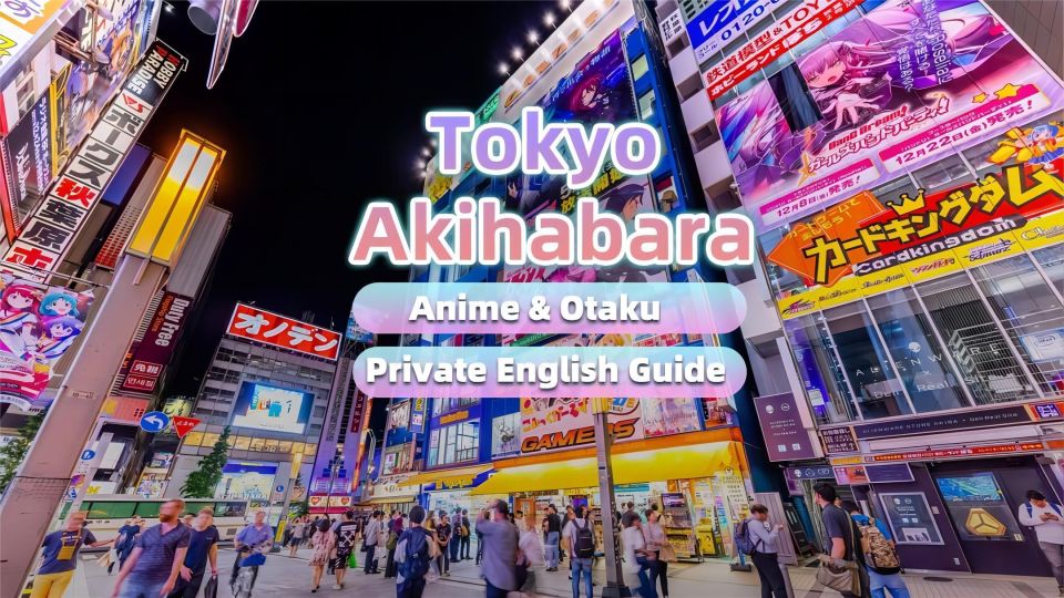 Tokyo: Anime&Otaku Private Tour With Expert English Guide - Final Words