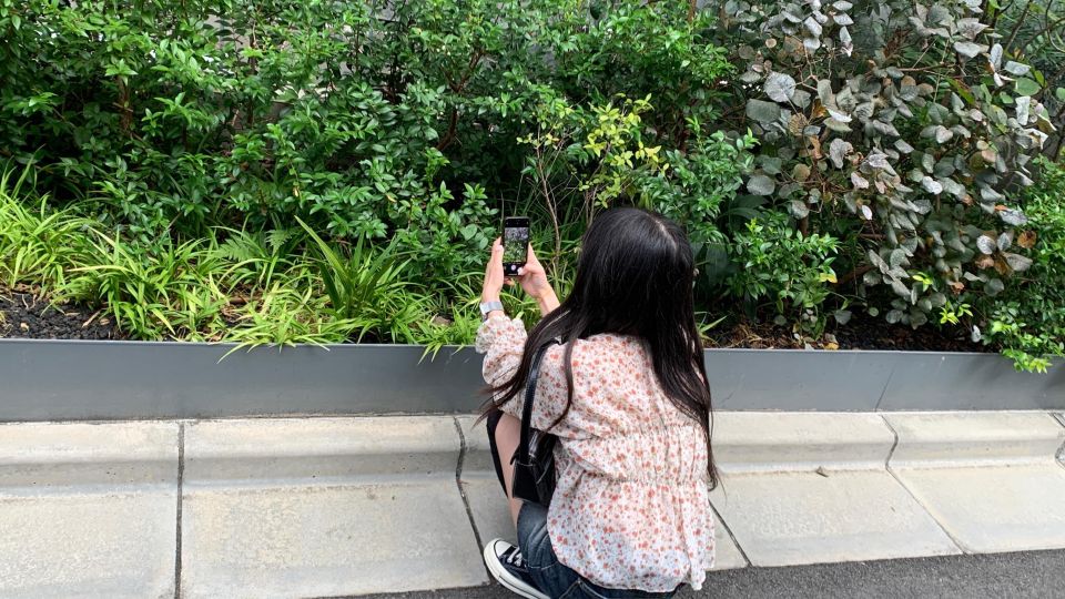 Smartphone Photography Experience in Tokyo - Important Information