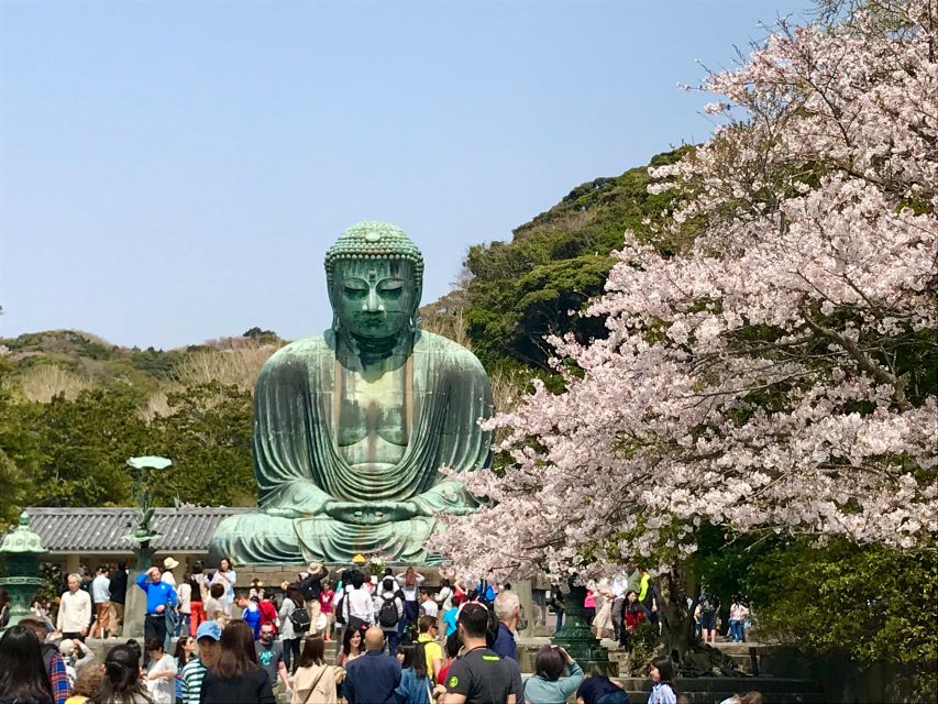 Kamakura & Yokohama: Featured Tour - Experience Highlights