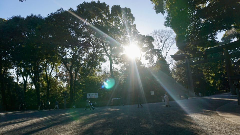 Tokyo Harajuku Meiji Shrine 1h Walking Explanation Tour - Itinerary