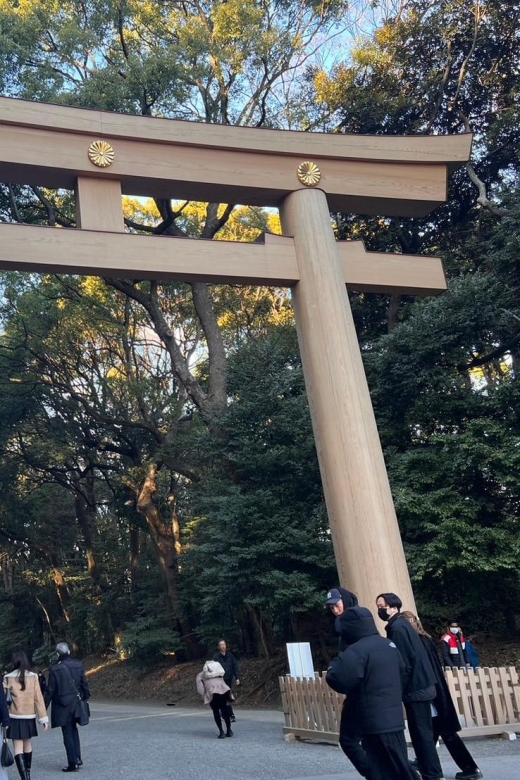 Tour in Meiji Shrine, Red Ink Stamp Experience and Shopping - Pricing and Booking Information