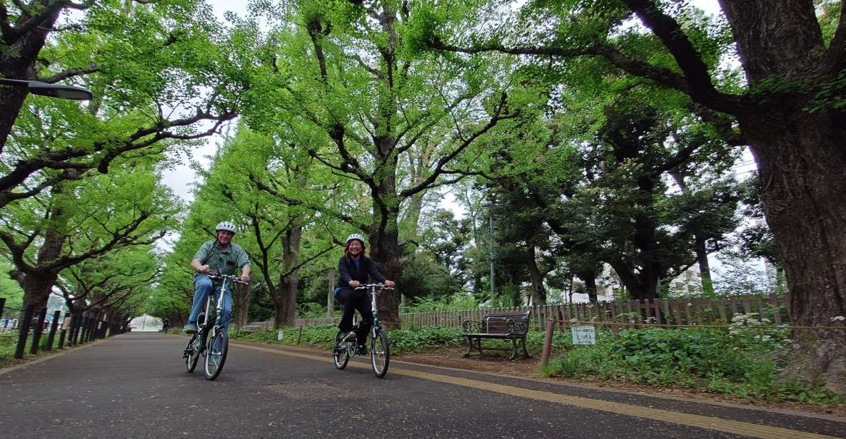 3-Hour Private E-Bike Tour Fr Shinjuku, Start at Your Hotel - Just The Basics