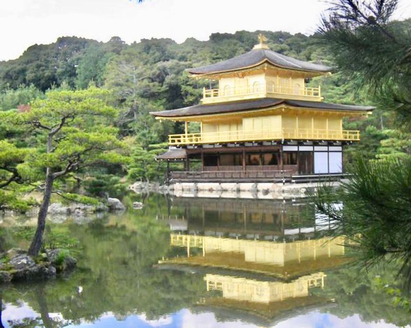 Kyoto: Private Guided Tour of Temples and Shrines - Highlights of the Guided Tour
