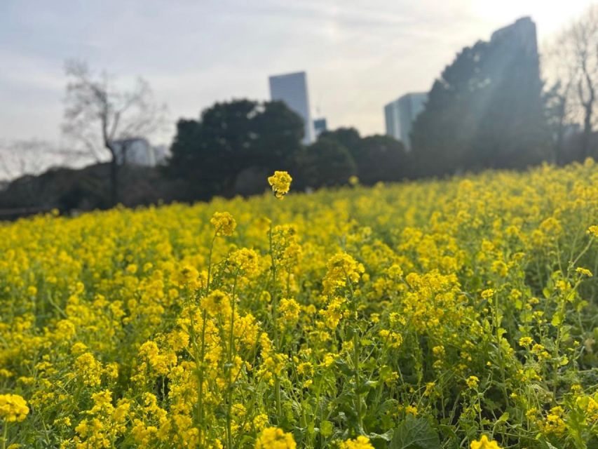 Tokyo : Japanese Garden Guided Walking Tour in Hama Rikyu - Final Words