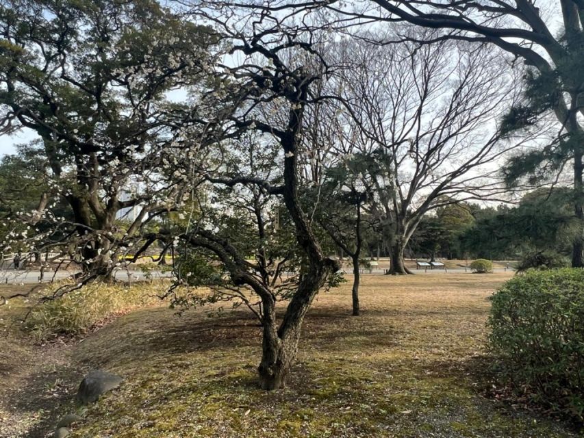 Tokyo : Japanese Garden Guided Walking Tour in Hama Rikyu - Frequently Asked Questions
