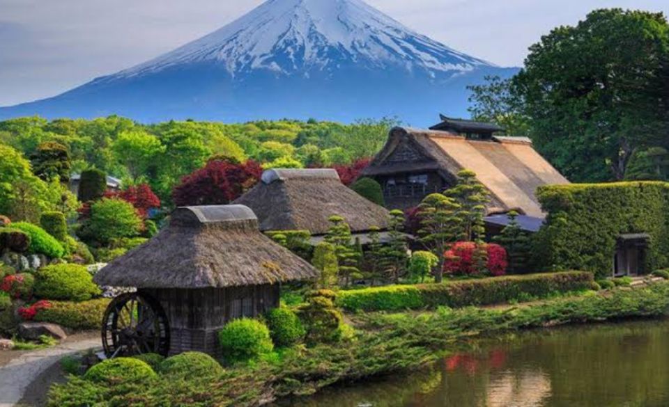 From Tokyo: Mount Fuji Full Day Private Tours English Driver - Tour Highlights