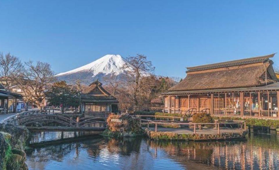 From Tokyo: Mount Fuji Full Day Private Tours English Driver - Just The Basics