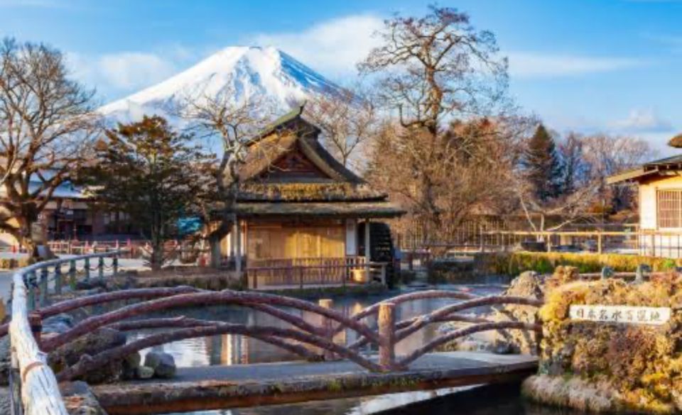 From Tokyo: Mount Fuji Full Day Private Tours English Driver - Tour Experiences