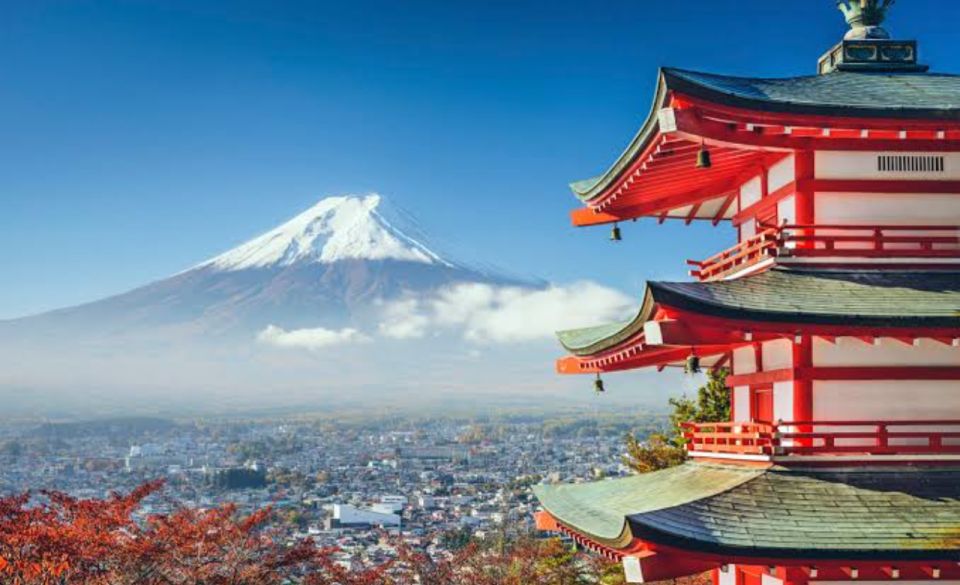 From Tokyo: Mount Fuji Full Day Private Tours English Driver - Additional Information