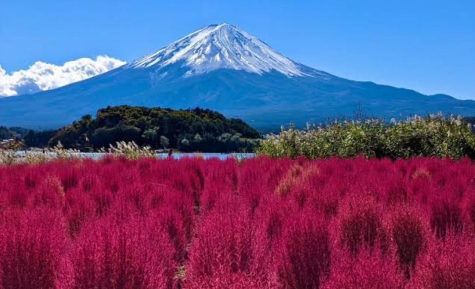 From Tokyo: Mount Fuji Full Day Private Tours English Driver - Final Words