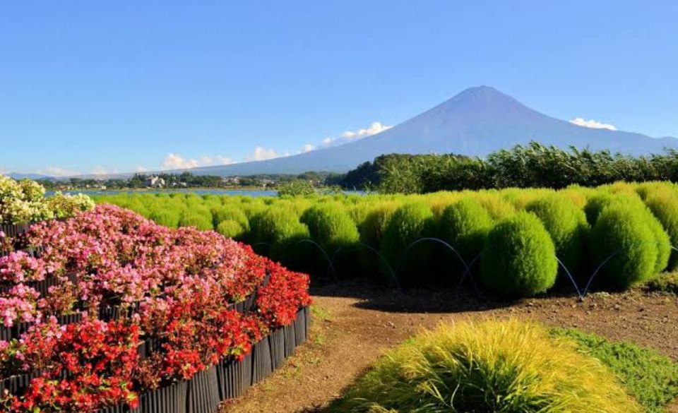 From Tokyo: Mount Fuji Full Day Private Tours English Driver - Directions