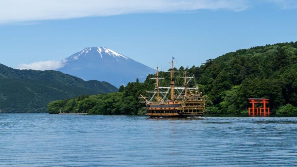From Tokyo MT Fuji Fully Customize Tour With English Driver - Tour Experience Highlights