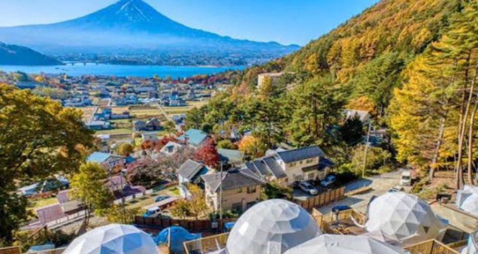 From Tokyo MT Fuji Fully Customize Tour With English Driver - Tour Itinerary Overview