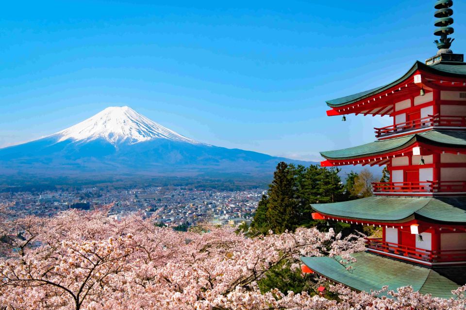 From Tokyo MT Fuji Fully Customize Tour With English Driver - Just The Basics
