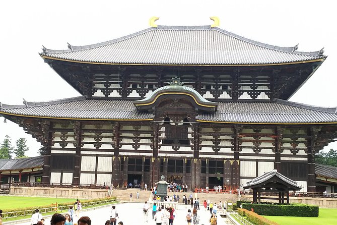 One-Day Tour of Amazing 8th Century Capital Nara - Rave Reviews From Past Travelers